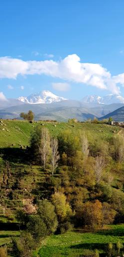 عکس پارک جنگلی خیاو چای