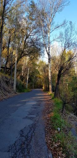 عکس پارک جنگلی خیاو چای