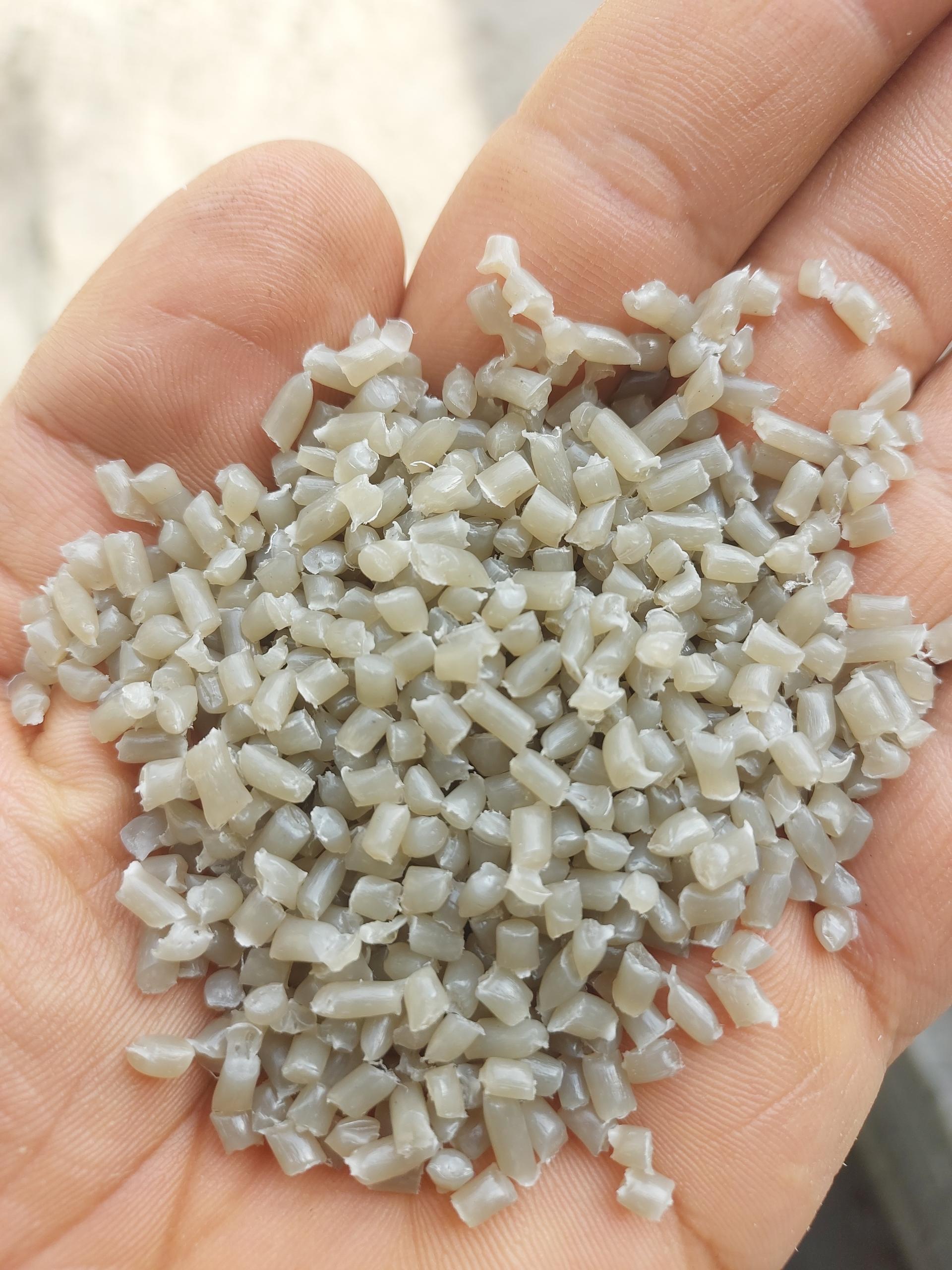 عکس گرانول پرسپولیس 