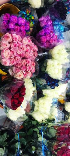 عکس بازار گل و گیاه پردیس فارس