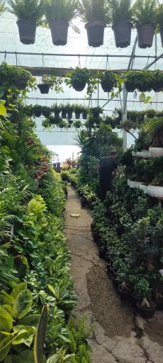 عکس بازار گل و گیاه پردیس فارس