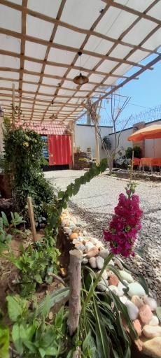 عکس باغ کافه سرزمین