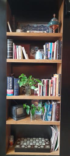 عکس باغ کافه سرزمین