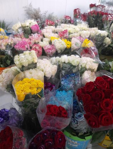 عکس بازار گل و گیاه پردیس فارس