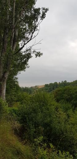 عکس پارک جنگلی خیاو چای