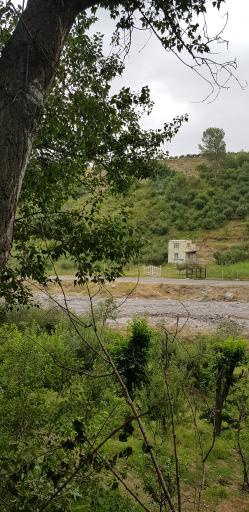 عکس پارک جنگلی خیاو چای