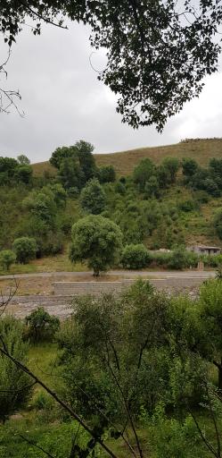 عکس پارک جنگلی خیاو چای