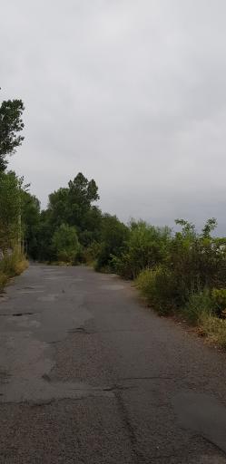 عکس پارک جنگلی خیاو چای