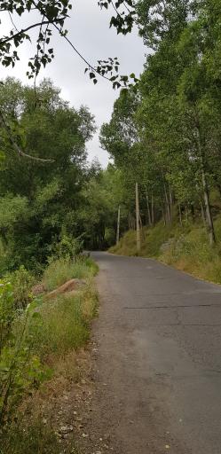 عکس پارک جنگلی خیاو چای