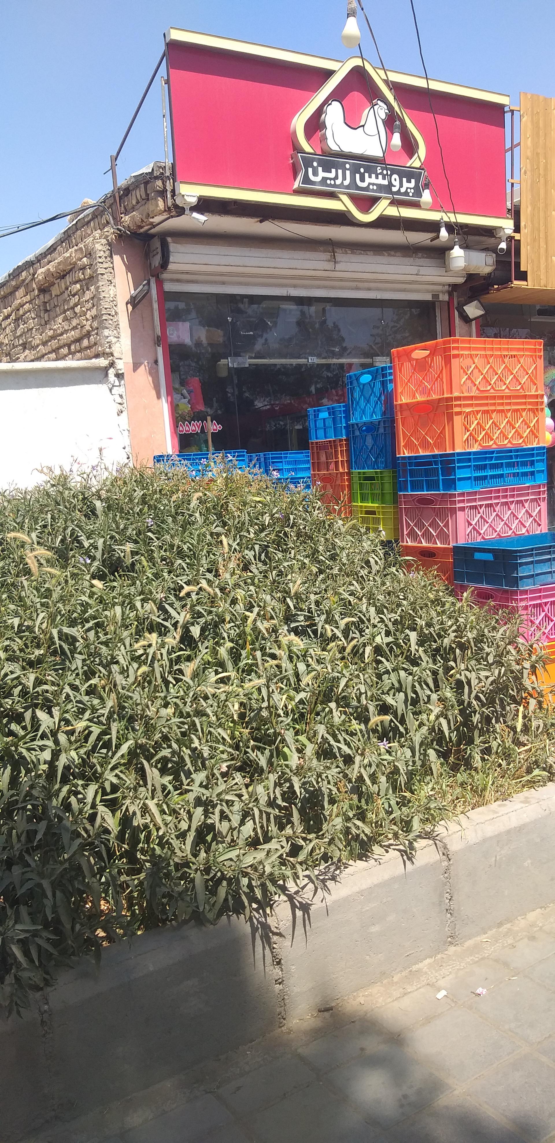 عکس پروتئین زرین