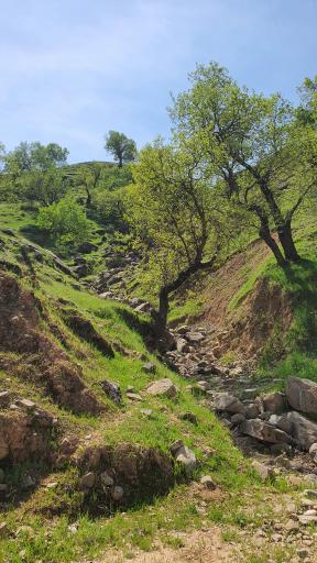 عکس دژ محمد علی خان