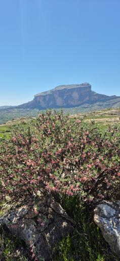 عکس دژ محمد علی خان