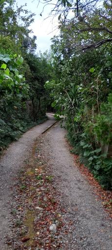 عکس مجتمع اقامتی شفق رامسر