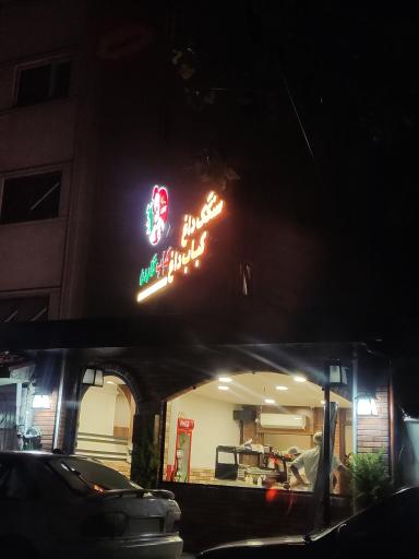 عکس چیکن گاردن کباب