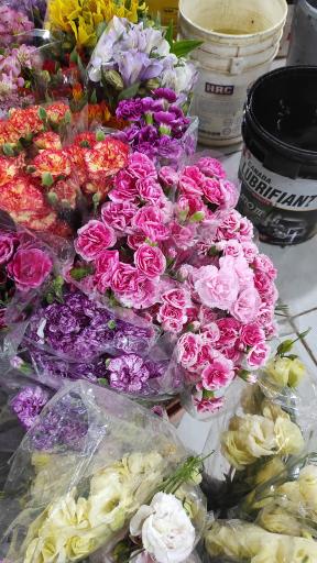 بازار گل و گیاه پردیس فارس