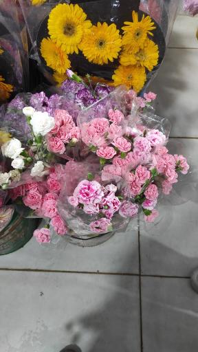بازار گل و گیاه پردیس فارس
