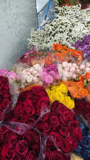 بازار گل و گیاه پردیس فارس