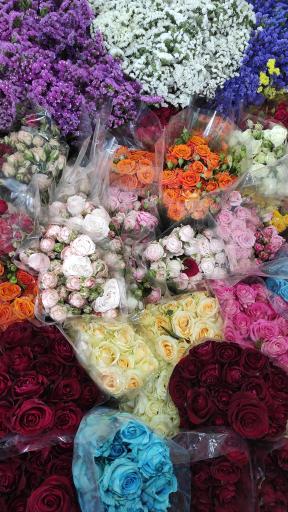 عکس بازار گل و گیاه پردیس فارس