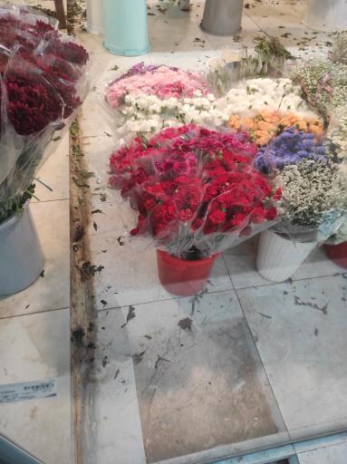 عکس بازار گل و گیاه پردیس فارس