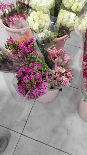 بازار گل و گیاه پردیس فارس