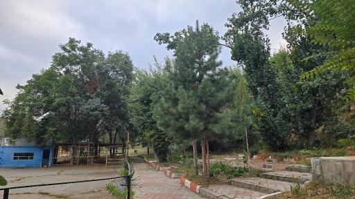 عکس پارک جنگلی خیاو چای