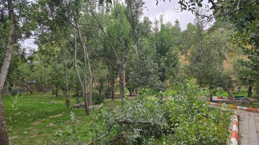 عکس پارک جنگلی خیاو چای