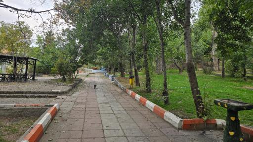 عکس پارک جنگلی خیاو چای