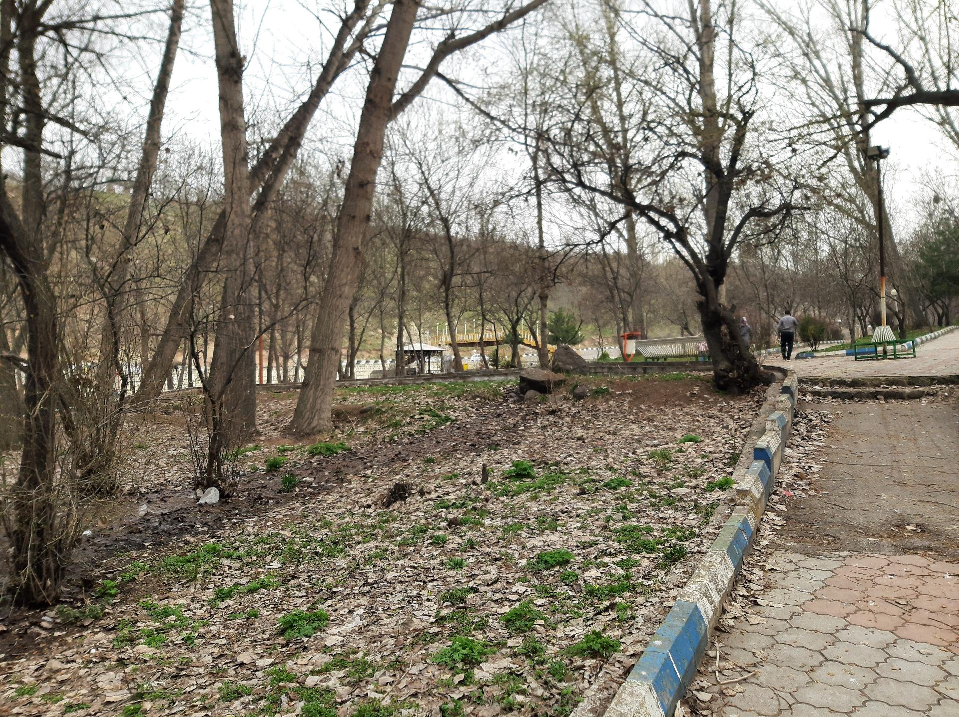 عکس پارک جنگلی خیاو چای