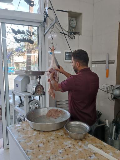 عکس چلوکبابی تک چشم بین