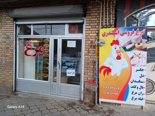 عکس مرغ وپروتئین اسکندری 