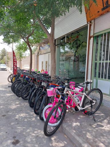 عکس فروشگاه دوچرخه شمس