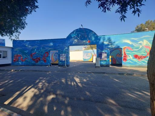 عکس پلاژ بانوان