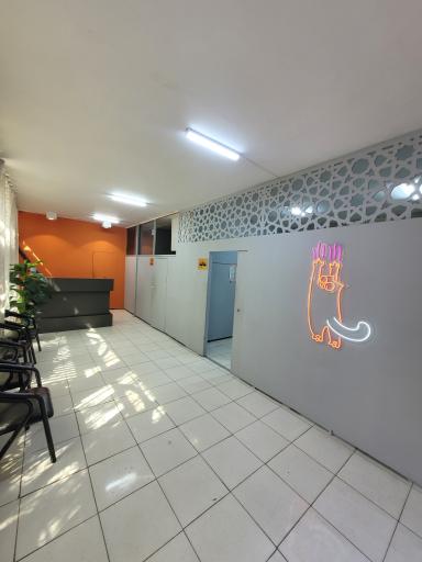 کلینیک دامپزشکی  دکتر وجدانی  