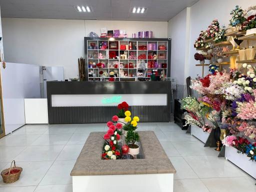 عکس گلسرای گلارین 