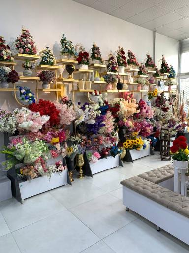 عکس گلسرای گلارین 