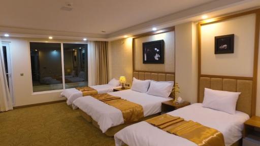 عکس هتل داوینکو