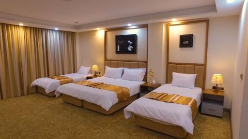 عکس هتل داوینکو