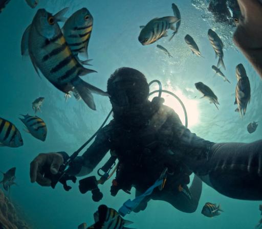 عکس مرکز غواصی و تفریحات دریایی پرشین گلف