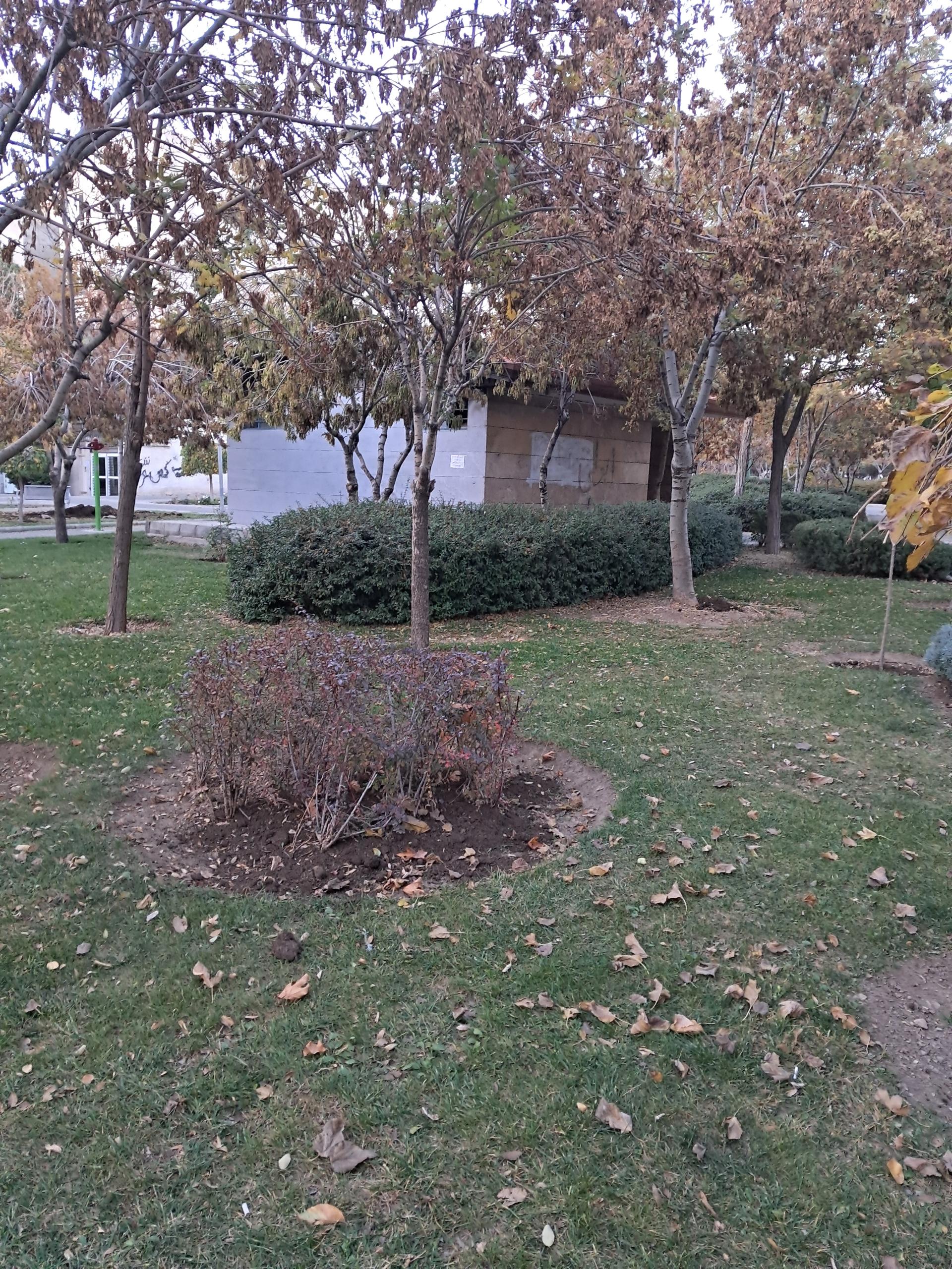 عکس سرویس بهداشتی عمومی