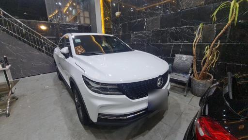 عکس دیتیلینگ استار و نقاشی خودرو 