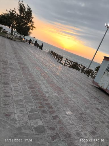 عکس منطقه باستانی ریشهر