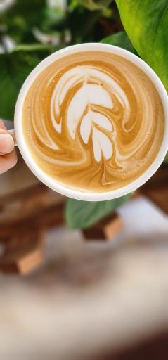 عکس کافه الی