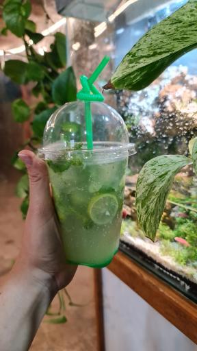 عکس کافه الی