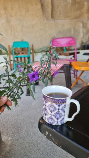 عکس کافه الی