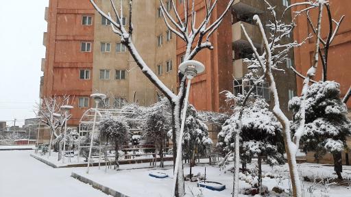 عکس مجتمع بوستان