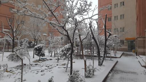 عکس مجتمع بوستان