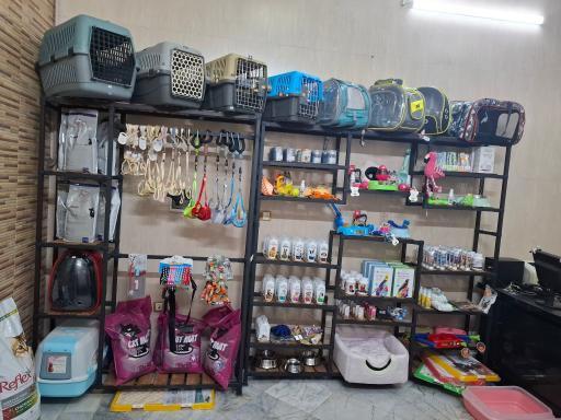 عکس کلینیک دامپزشکی پیوت