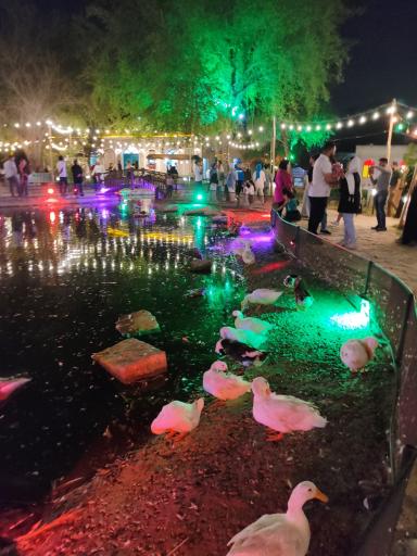 عکس مجموعه گردشگری ریتاج