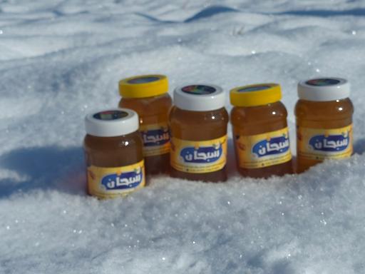 عکس عسل سبحان