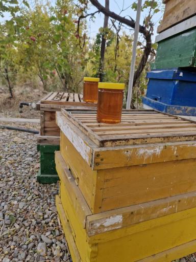 عکس عسل سبحان